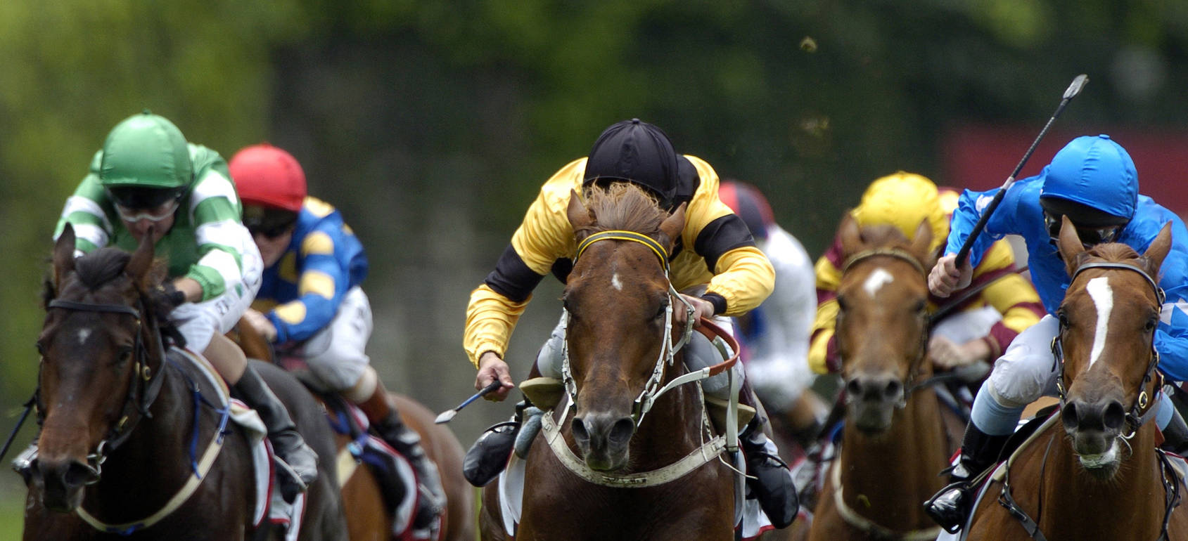 Sport & Event Weather Forecasts